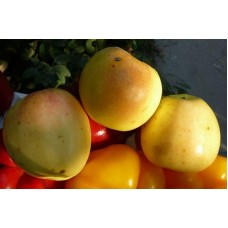 Яблоня Зимний Банан